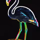 NFTweet #7 Greater Flamingo - Flamingo-rosado "Phoenicopterus Roseus"