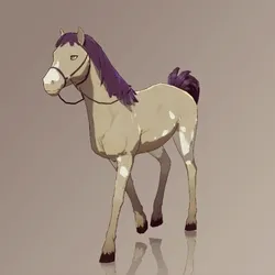 Horse : #5449