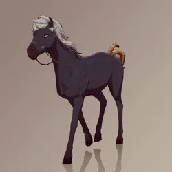 Horse : #5681