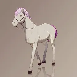 Horse : #4738