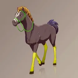 Horse : #100038
