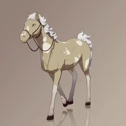 Horse : #8349