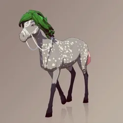 Horse : #101421