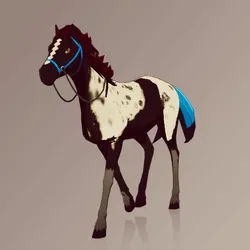 Horse : #102695