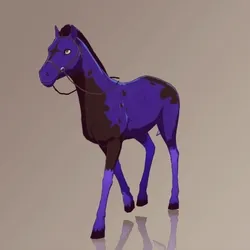 Horse : #6773