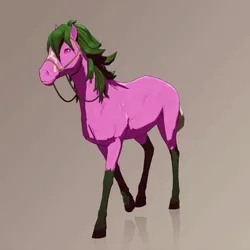 Horse : #102791