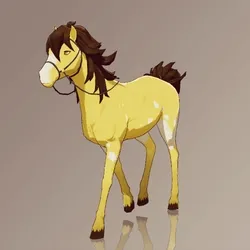 Horse : #5077