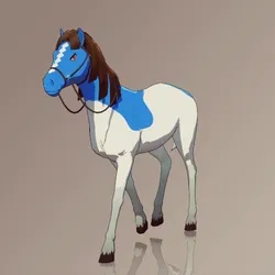 Horse : #10524