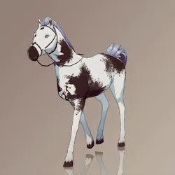 Horse : #4986