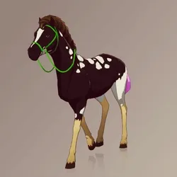 Horse : #101826
