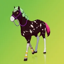 Horse : #101620