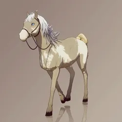 Horse : #8072