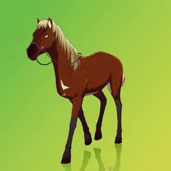 Horse : #1100
