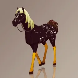 Horse : #8003