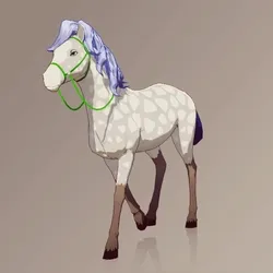 Horse : #101969