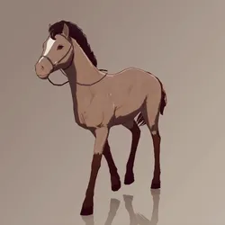 Horse : #1637