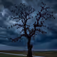 Landscape #1/2