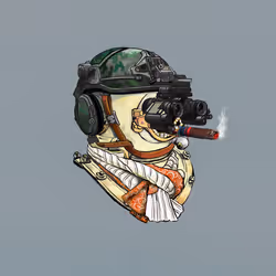 221335334917655692555