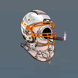 243616963119560449119