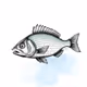 Fish #10