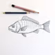 Fish #17
