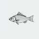 Fish #20