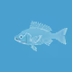Fish #18
