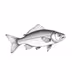 Fish #16