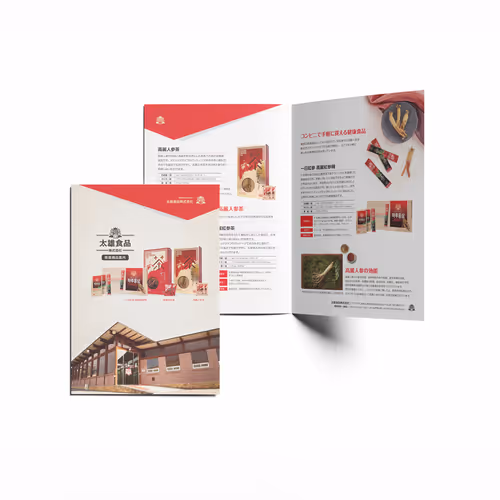 Ginseng Product Leaflet Design for Taewoong Foods - Oct. 2010