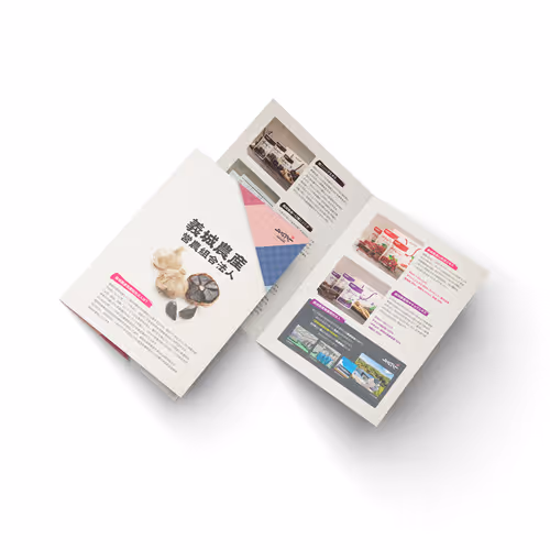 Uiseong Black Garlic Product Leaflet for Japan - Oct. 2010