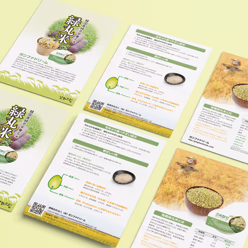 Kanghwa Dream Japanese Leaflet Design - Oct. 2020