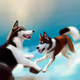 100NFTv1_A brown and white husky dog and a black and white look husky dog play happily tog