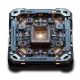 Chip Q - tier-1