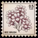 Bee Brush