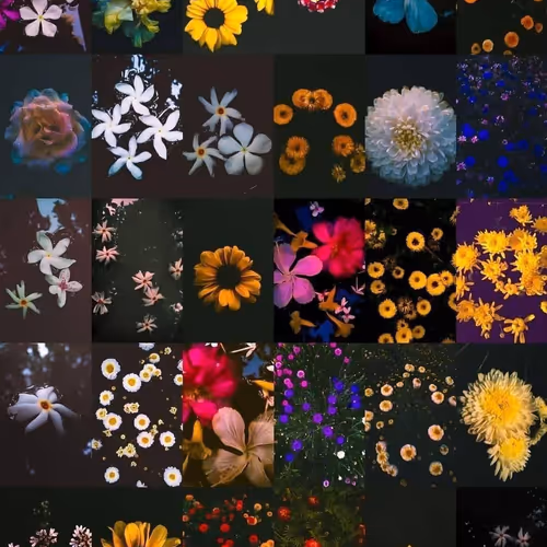 33334444.lens-Collect-189