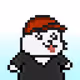 Pixseal #4447