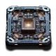 Chip Q - tier-6
