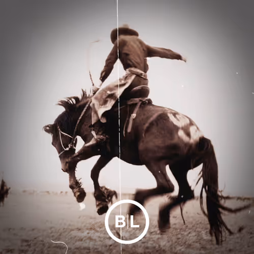 Item #3772045568445825079575097 Media