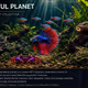 WONDERFULL PLANET S#45 prev