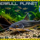 WONDERFULL PLANET S#37