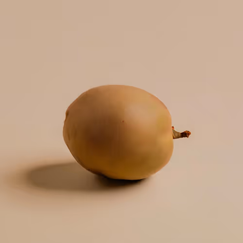 Sapodilla