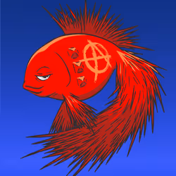 563