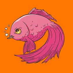 590