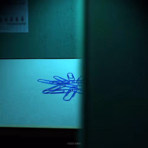 Item #29073556391 Media