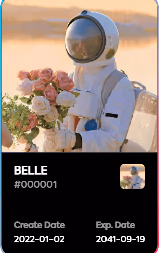 BELLE V4