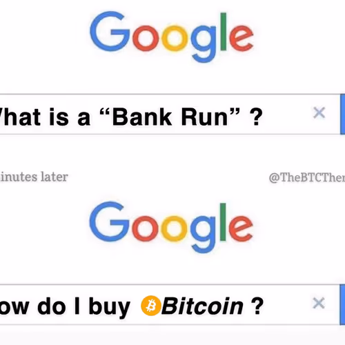 freedogecoin.lens-Collect-930