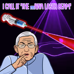 2623