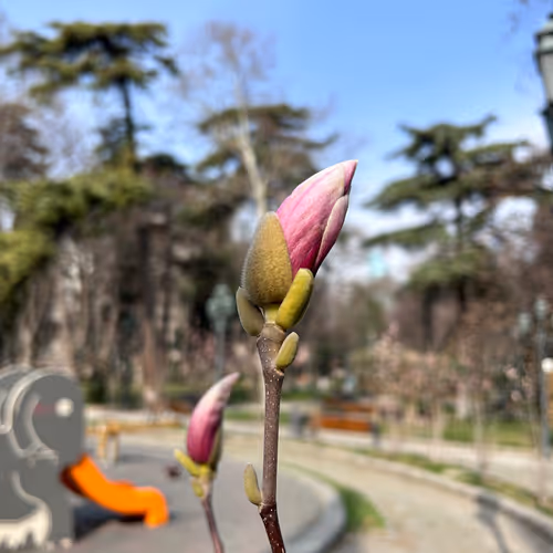kssushenka.lens-Collect-64