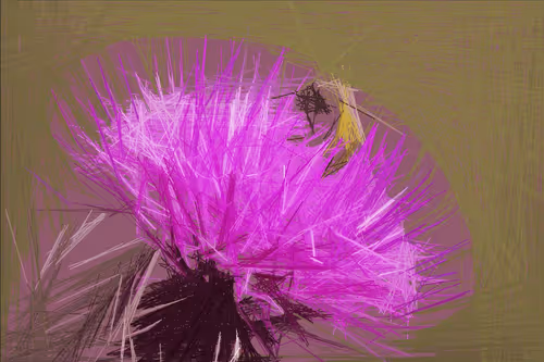 Item #1099820760371 Media