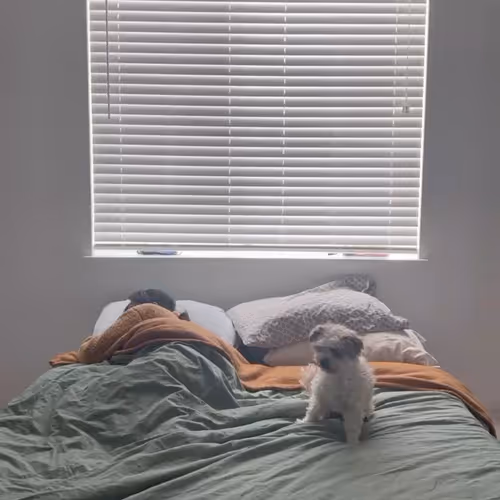 seemcat.lens-Collect-94